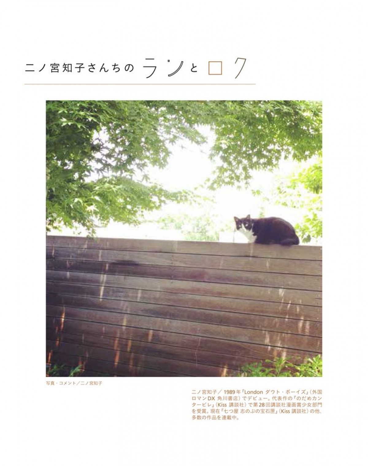 いくえみ綾・二ノ宮知子ら漫画家が “うちの猫” を紹介　写真集『漫画家の猫』