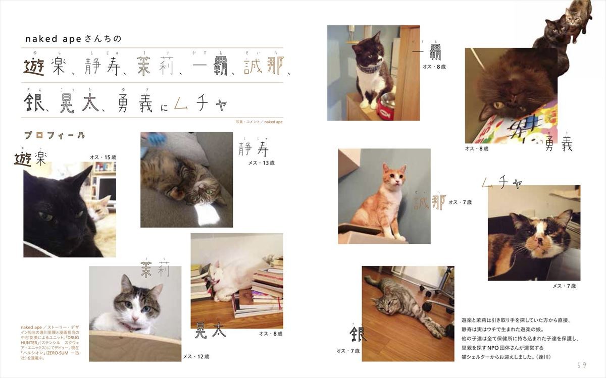 いくえみ綾・二ノ宮知子ら漫画家が “うちの猫” を紹介　写真集『漫画家の猫』