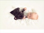 子犬と赤ちゃんの成長写真にほっこり