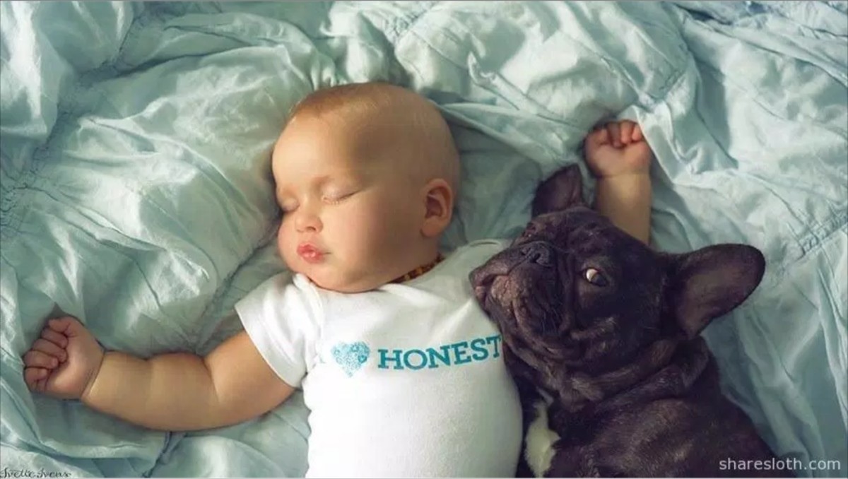 同じ誕生日の子犬と赤ちゃん、仲良し“兄弟”いつでも一緒の写真が話題に