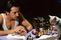 酒と猫を堪能する「猫パブ」がオープン！※イメージ画像