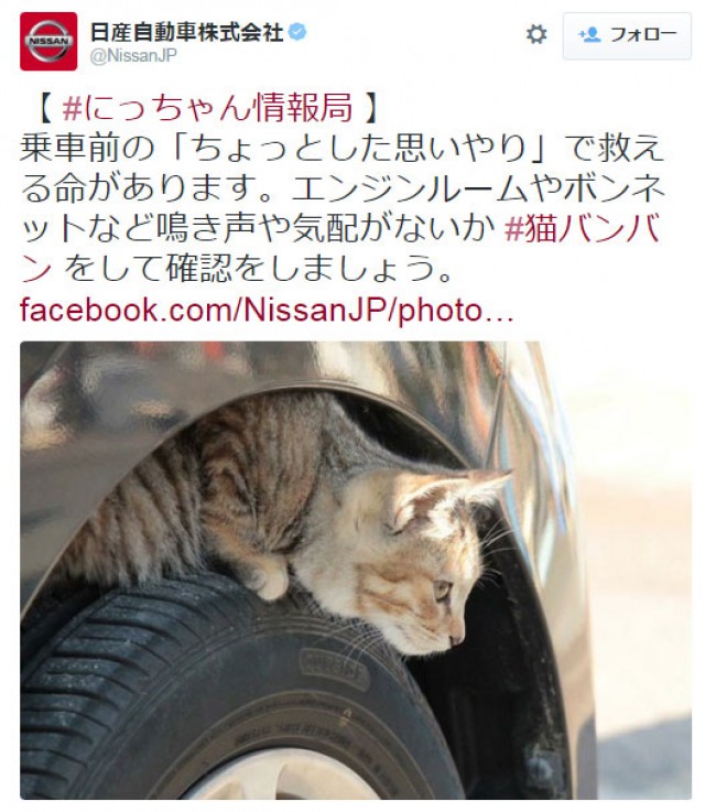 日産、寒くなるこの時期に“猫バンバン”を呼び掛け