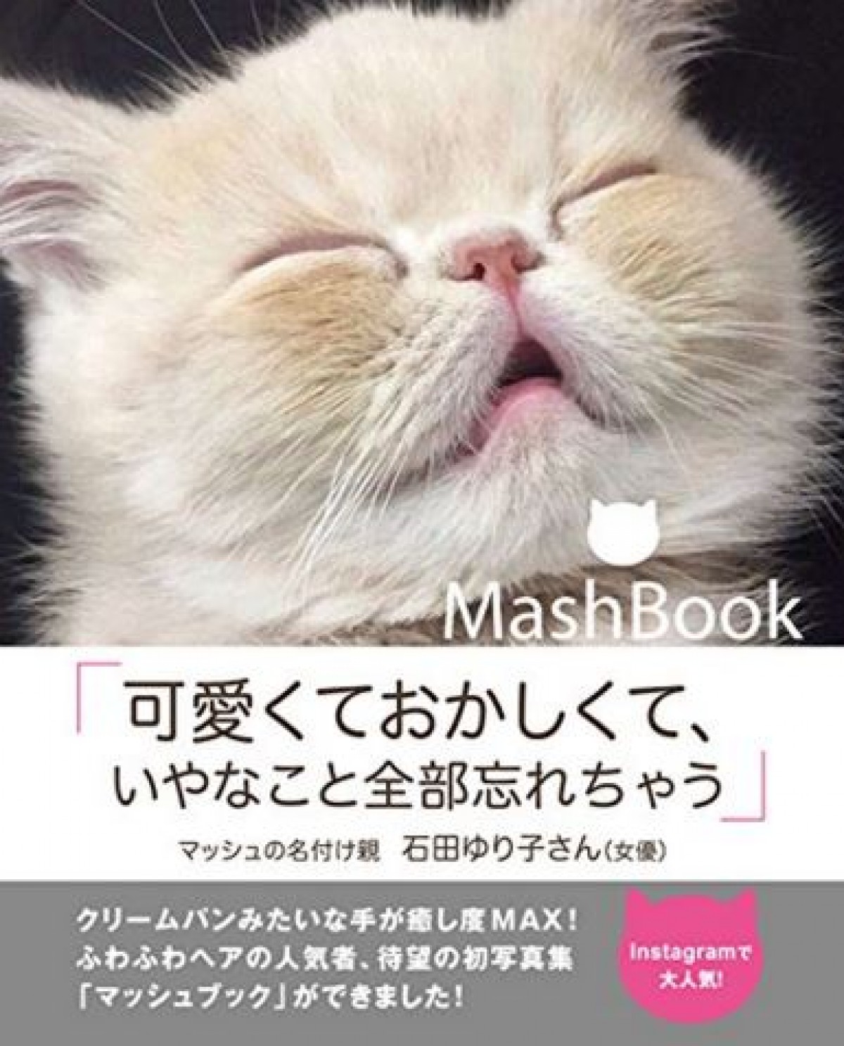 水川あさみ、石田ゆり子も夢中！　大人気猫・マッシュ、初の写真集発売