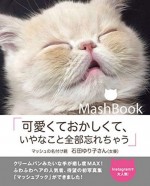 水川あさみ、石田ゆり子も夢中！　大人気猫・マッシュ、初の写真集発売