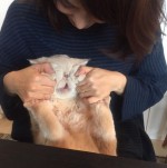 大人気猫・マッシュ、初の写真集が発売