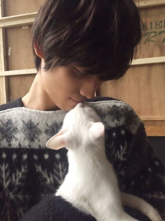 福士蒼汰が公開した猫とのキス写真