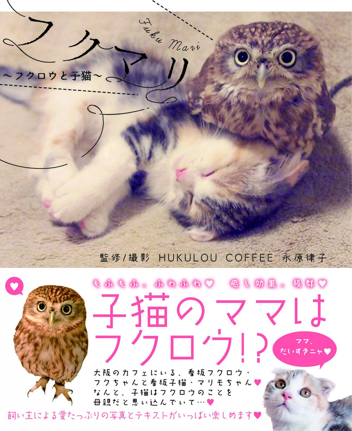 子猫とフクロウの“もふもふ”仲良し写真満載！『フクマリ～フクロウと子猫～』発売
