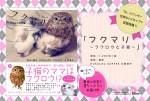 写真集『フクマリ～フクロウと子猫～』