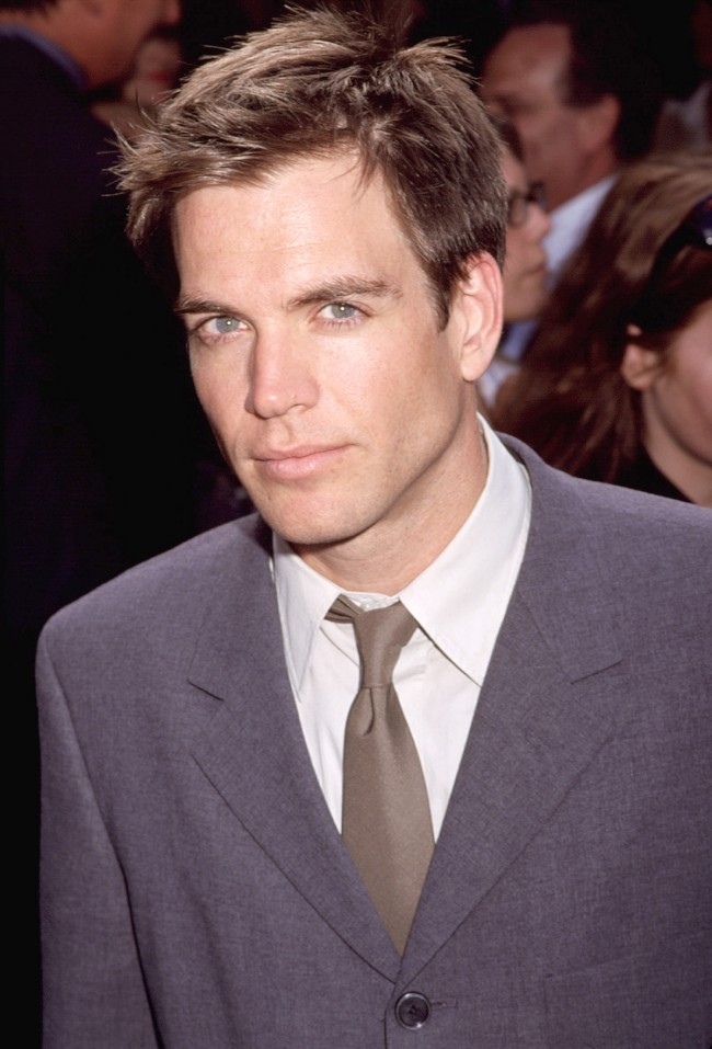 Michael Weatherly、マイケル・ウェザリー