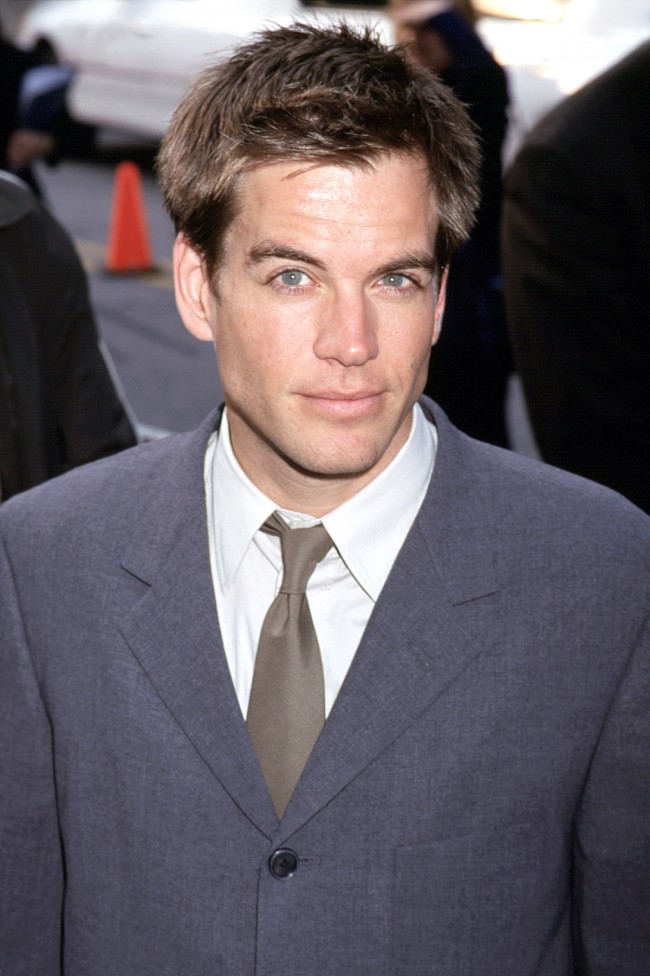 Michael Weatherly、マイケル・ウェザリー