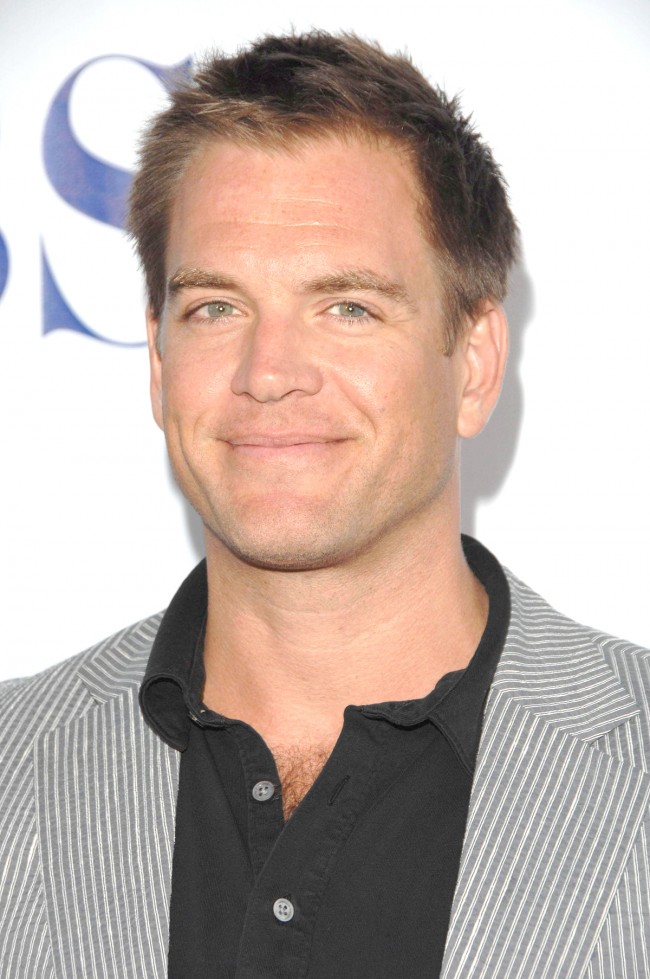 Michael Weatherly、マイケル・ウェザリー