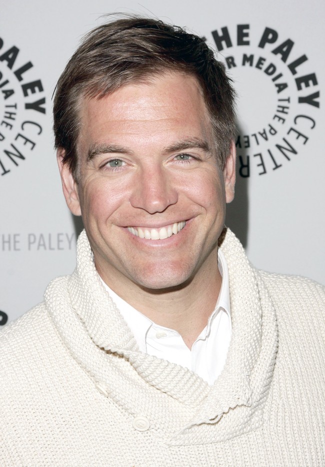 Michael Weatherly、マイケル・ウェザリー