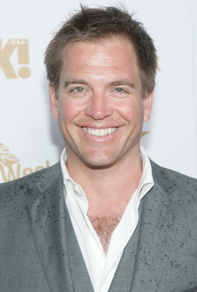 Michael Weatherly、マイケル・ウェザリー