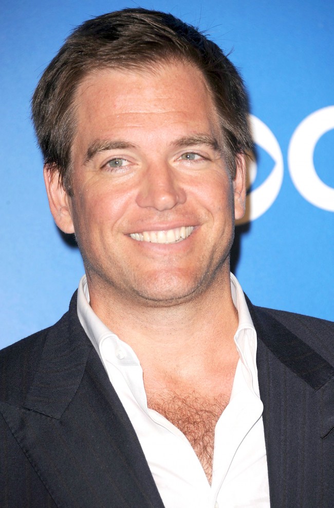 Michael Weatherly、マイケル・ウェザリー