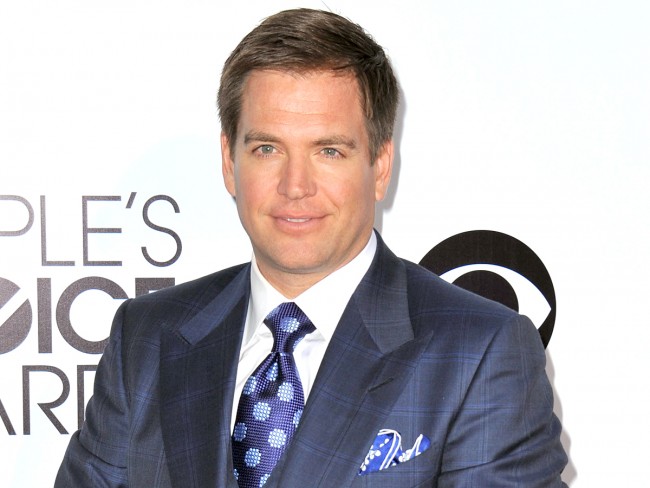 Michael Weatherly、マイケル・ウェザリー