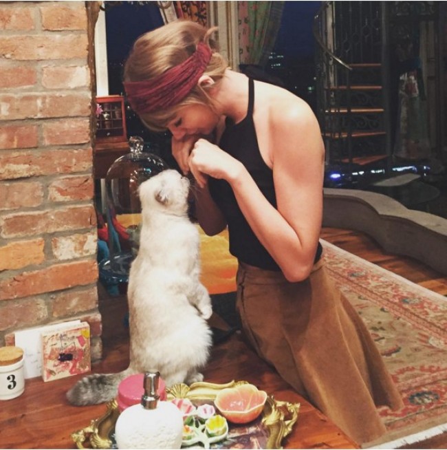 テイラー・スウィフト、Taylor Swift