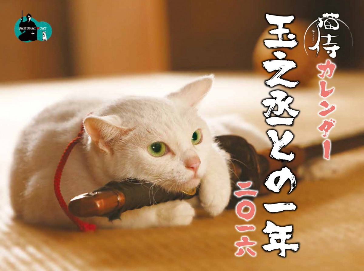 猫侍カレンダー「玉之丞との一年　二〇一六」表紙画像