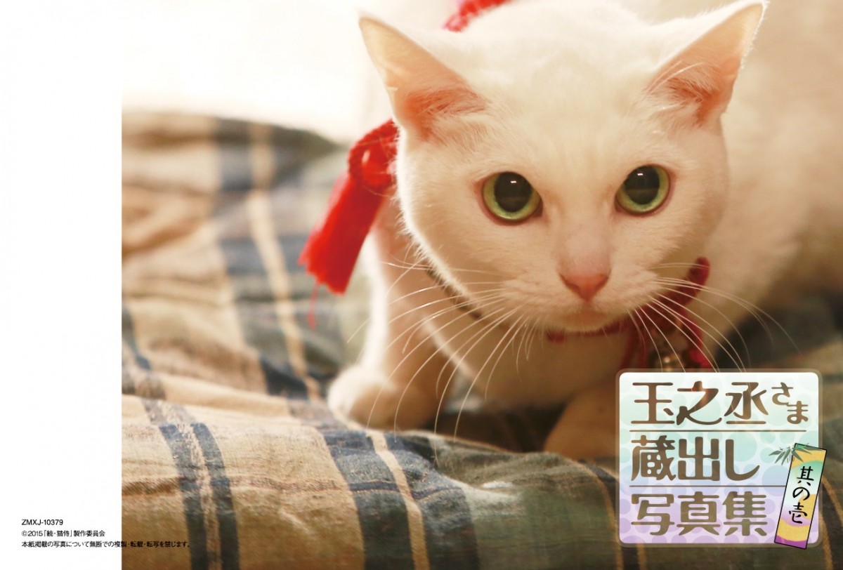 『猫侍』“玉之丞”カレンダー発売決定！　萌え萌え萌えまくる未公開秘蔵ショット使用