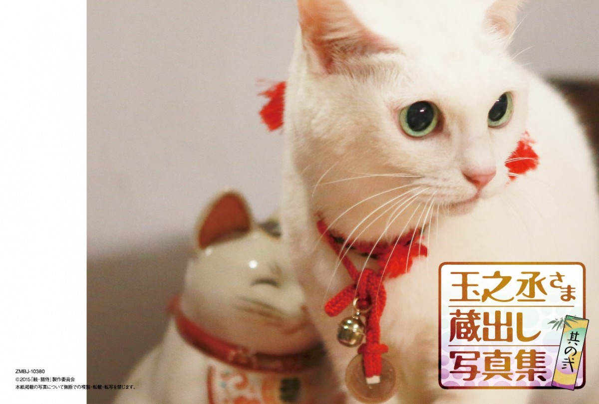 『猫侍』“玉之丞”カレンダー発売決定！　萌え萌え萌えまくる未公開秘蔵ショット使用