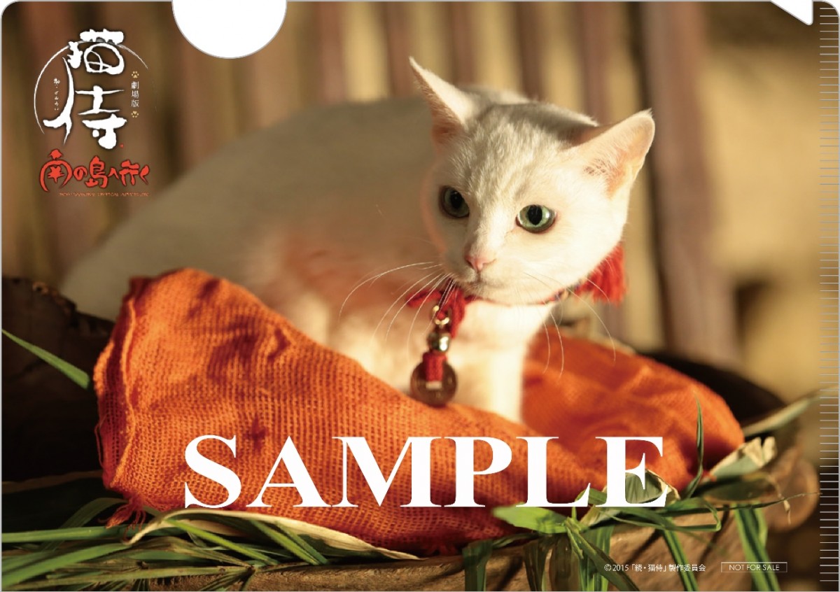 『猫侍』“玉之丞”カレンダー発売決定！　萌え萌え萌えまくる未公開秘蔵ショット使用