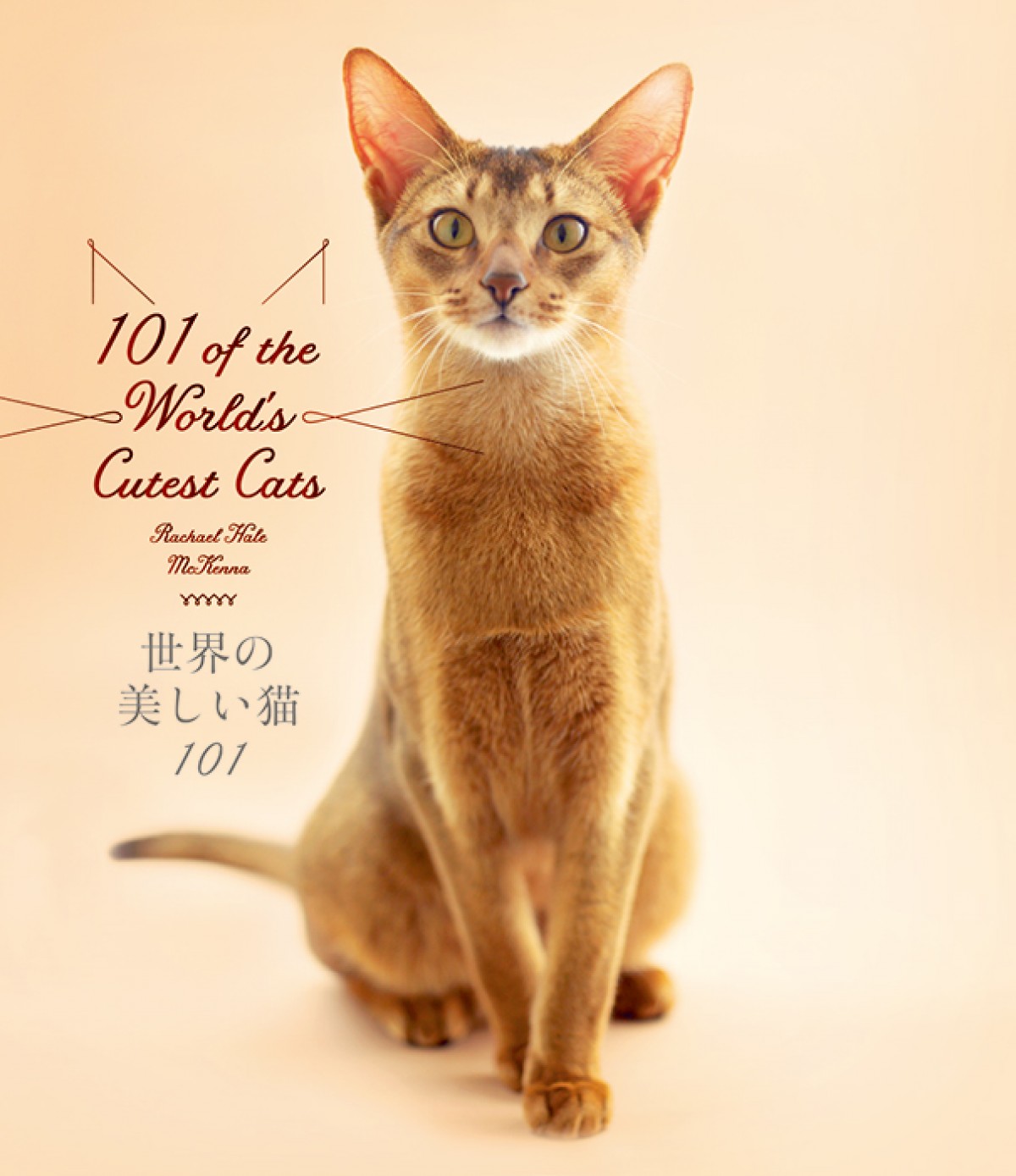 猫図鑑の決定版 世界の美しい猫101 発売 短毛種 長毛種まで写真と共に解説 15年12月13日 気になる ニュース クランクイン