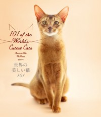 「世界の美しい猫101」サンプルビジュアル