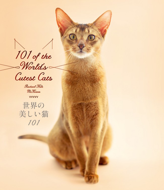 「世界の美しい猫101」サンプルビジュアル