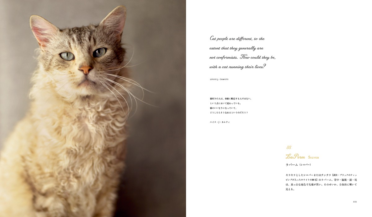 猫図鑑の決定版「世界の美しい猫101」発売！短毛種～長毛種まで写真と共に解説
