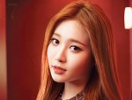 2015年「世界で最も美しい顔100人」17位：YURA