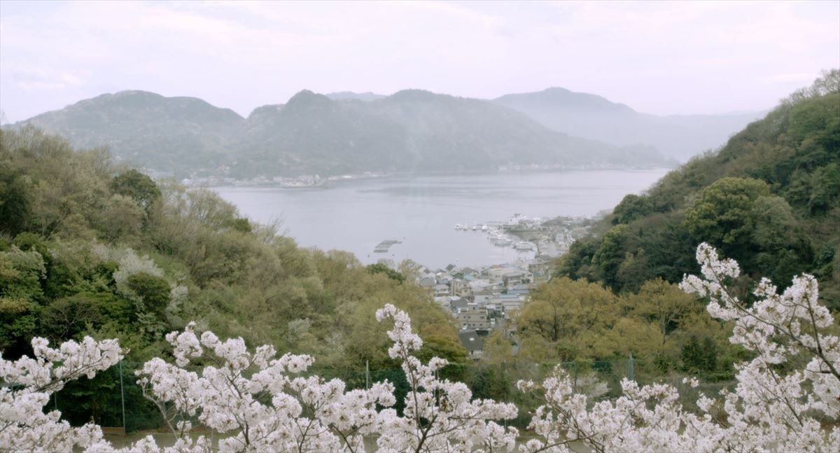 山本舞香、猛特訓の合唱シーン公開　映画『桜ノ雨』特報解禁