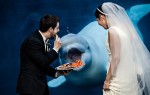 ISPWPが主催する結婚式写真コンペ・ユーモア部門作品