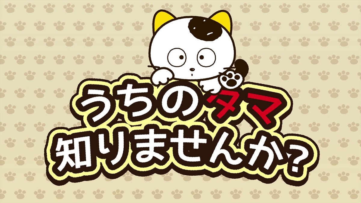 『うちのタマ知りませんか?』 22年ぶりにアニメ化決定
