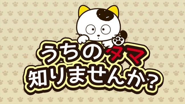 『うちのタマ知りませんか?』 22年ぶりにアニメ化決定