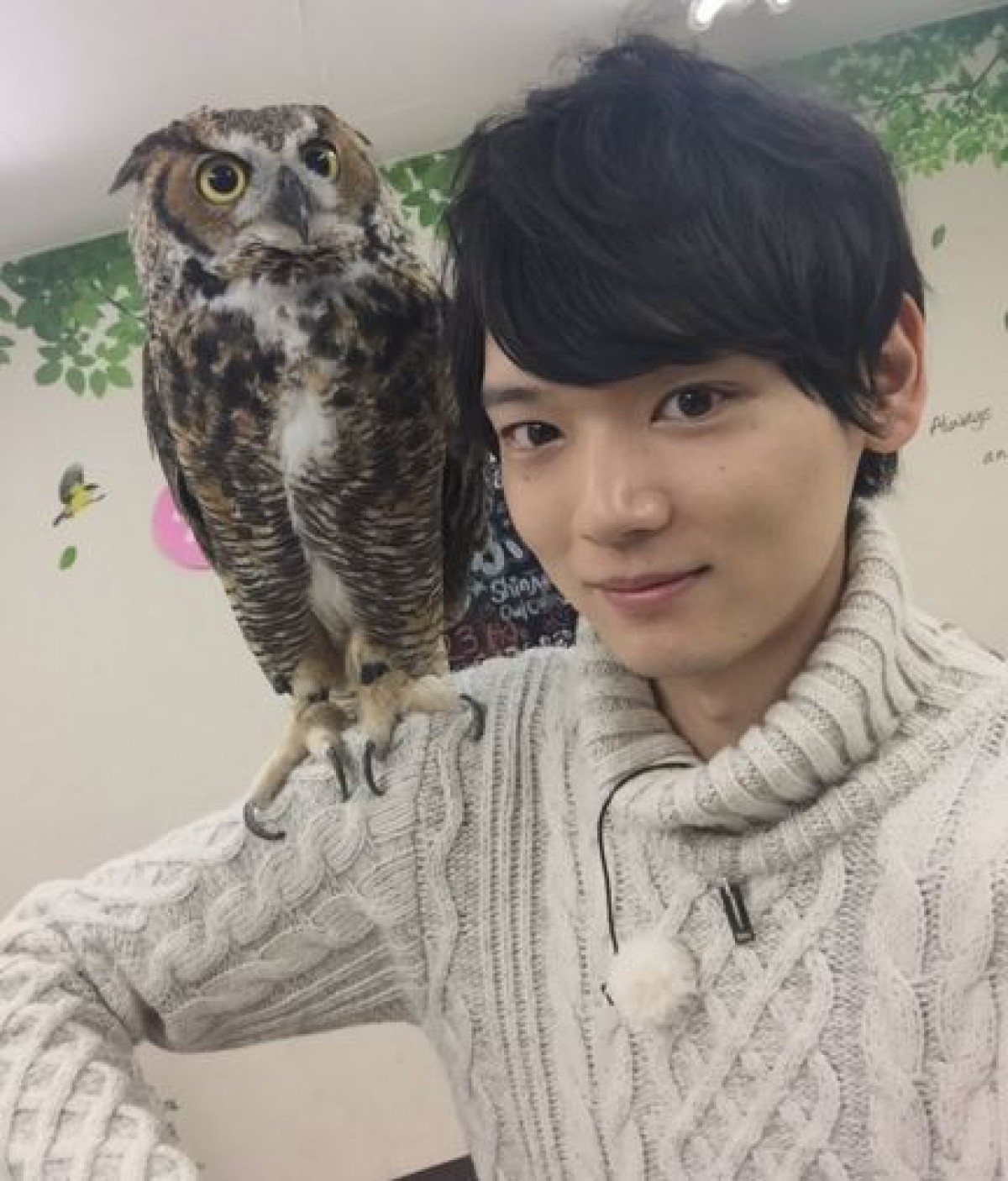 古川雄輝、フクロウカフェ体験に笑顔　癒され過ぎるファン続出