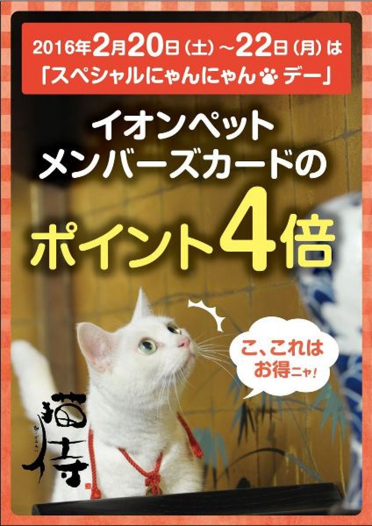 『猫侍』白ねこ・玉之丞、ライオンの広告タレントに！かわいいストラップの特典も