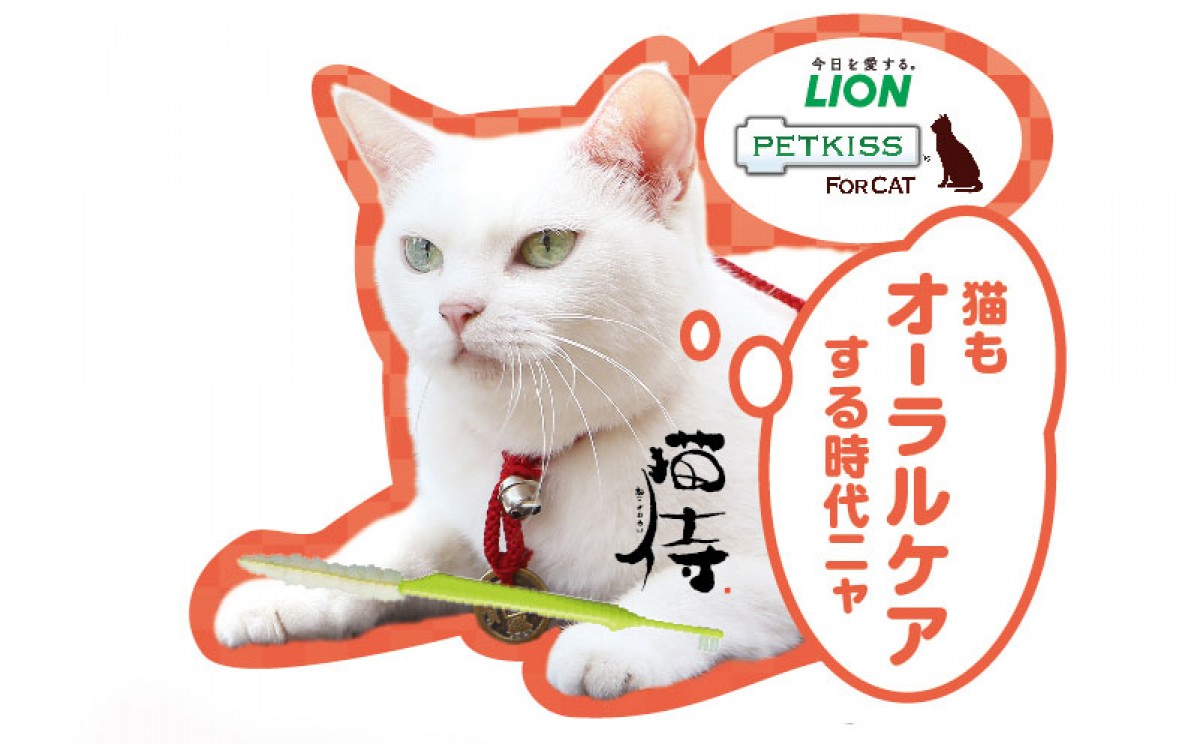 『猫侍』白ねこ・玉之丞、ライオンの広告タレントに！かわいいストラップの特典も