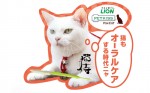 スペシャルドラマ『猫侍 玉之丞、江戸へ行く』キャンペーンより。