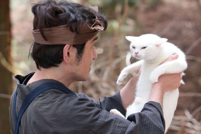 猫侍 玉之丞 江戸へ行く クランクイン