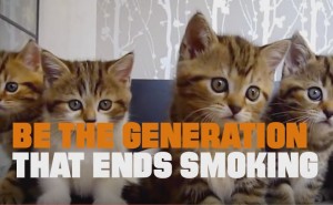 ねこCMがグラミー賞会場で注目の的に！「最優秀コマーシャル賞を」との声も