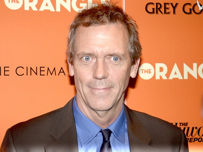 ヒュー・ローリー、Hugh Laurie