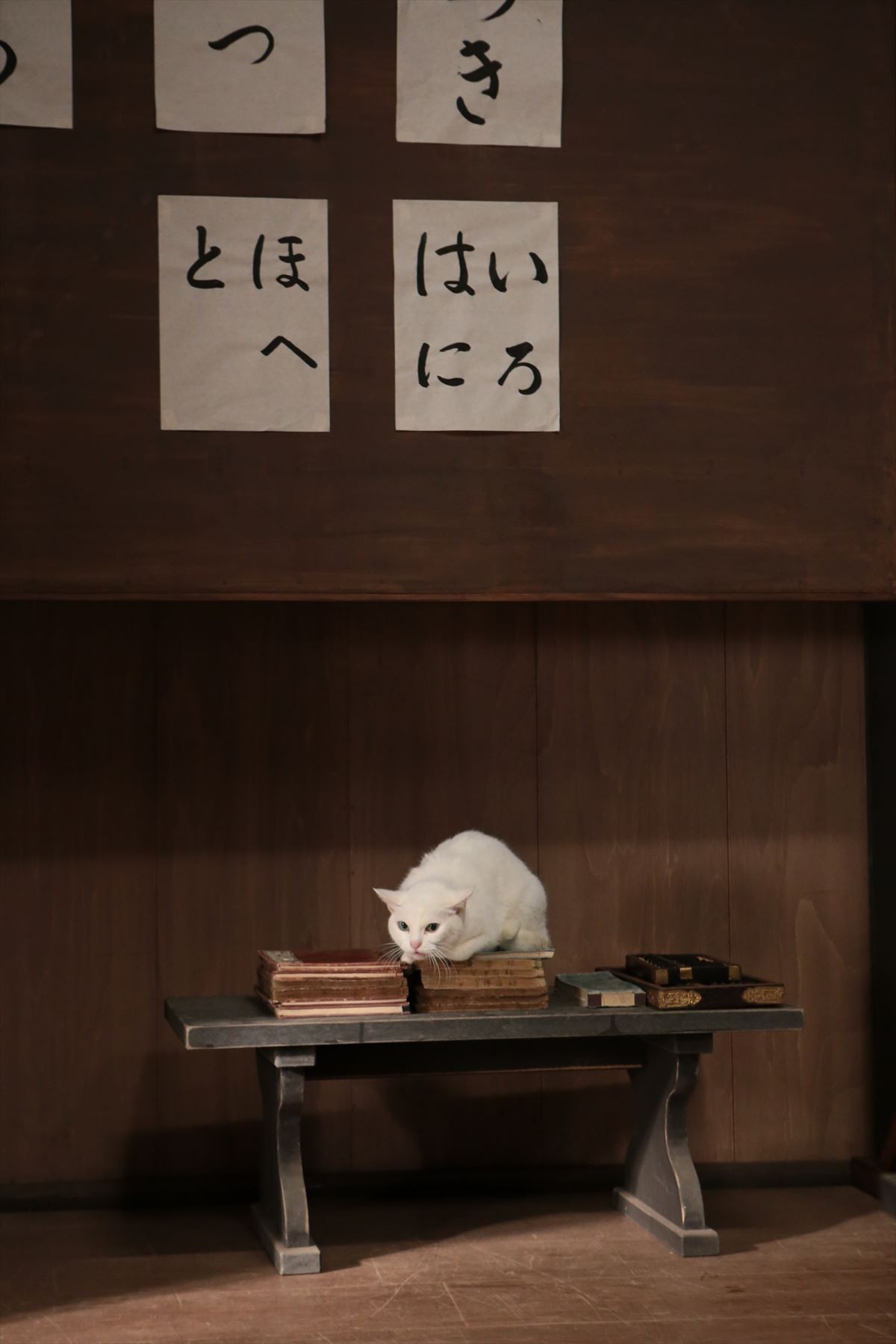 “ねこの日”記念！『猫侍』玉之丞の秘蔵萌え写真公開！ 可愛すぎて悶絶必至