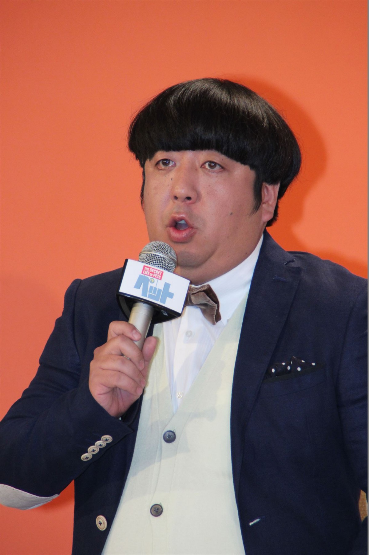 佐藤栞里、夢の“声のお仕事”初挑戦　共演・バナナマンを「愛したい」宣言