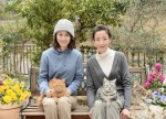 『グーグーだって猫である2 ‐good good the fortune cat‐』に前田敦子が出演