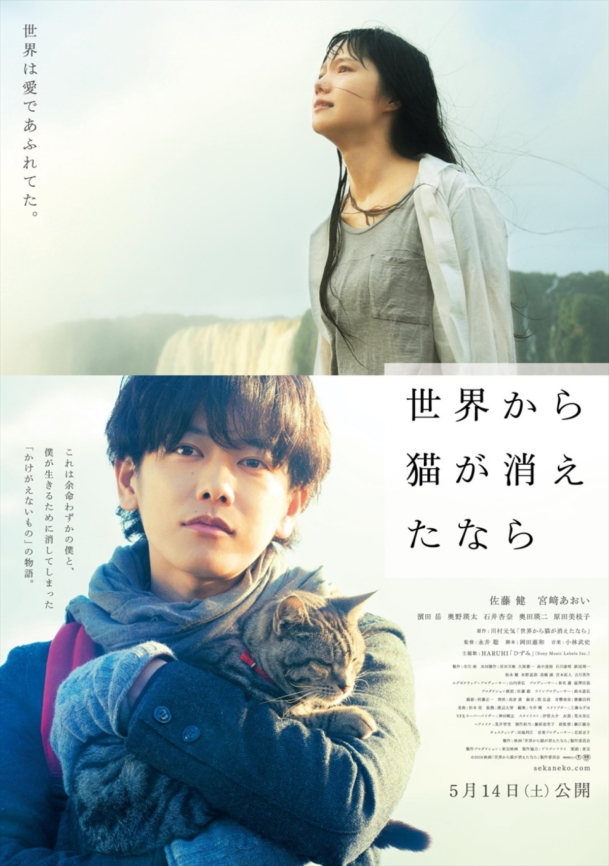 佐藤健主演『世界から猫が消えたなら』新予告解禁　猫抱き＆泣き顔…ファン必見映像