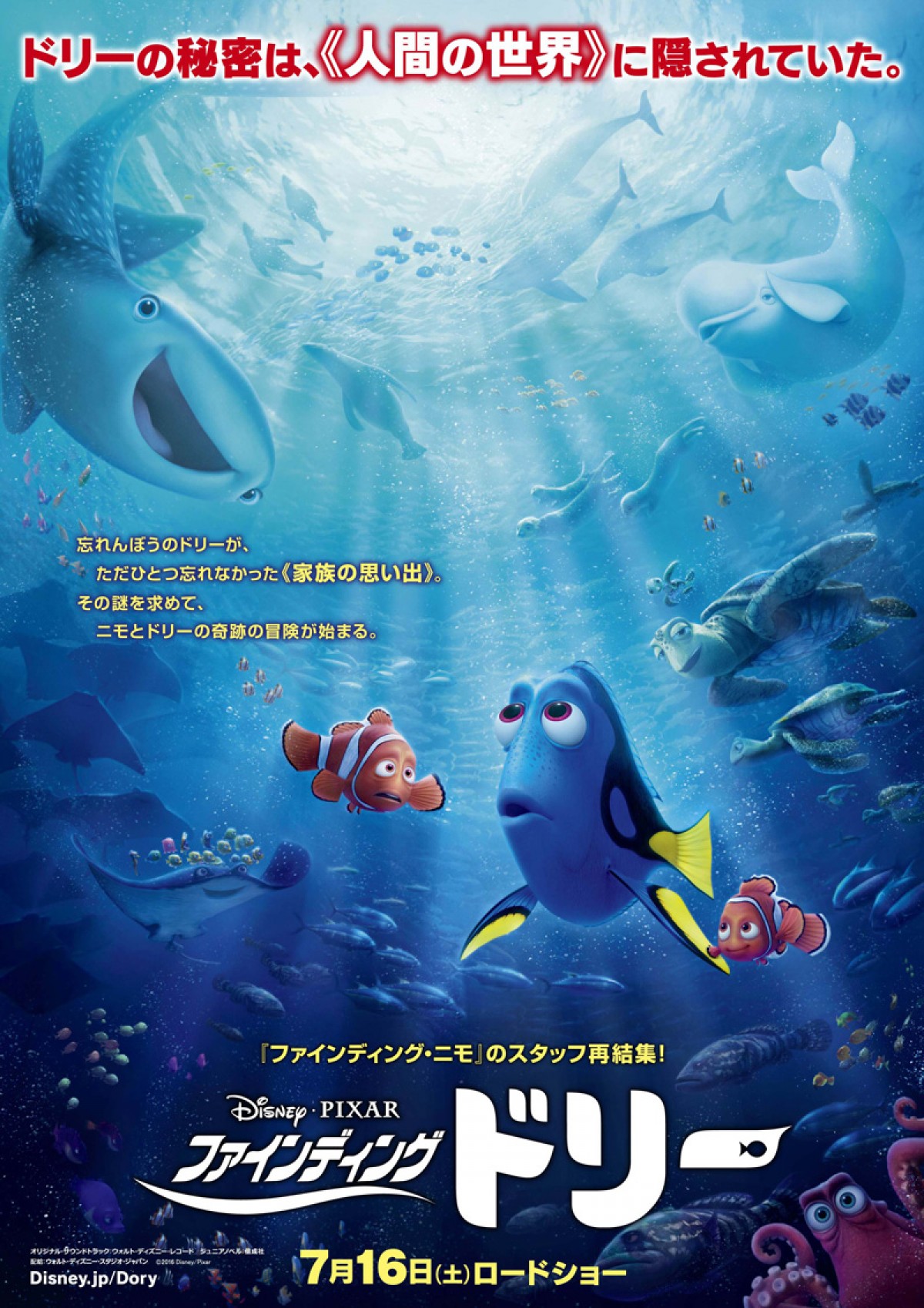 ファインディング ドリー 吹替版予告公開 13年ぶりにおなじみの声が帰ってきた 16年3月9日 アニメ ニュース クランクイン