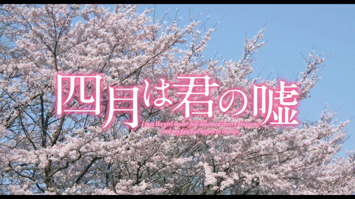 『四月は君の嘘』特報公開!