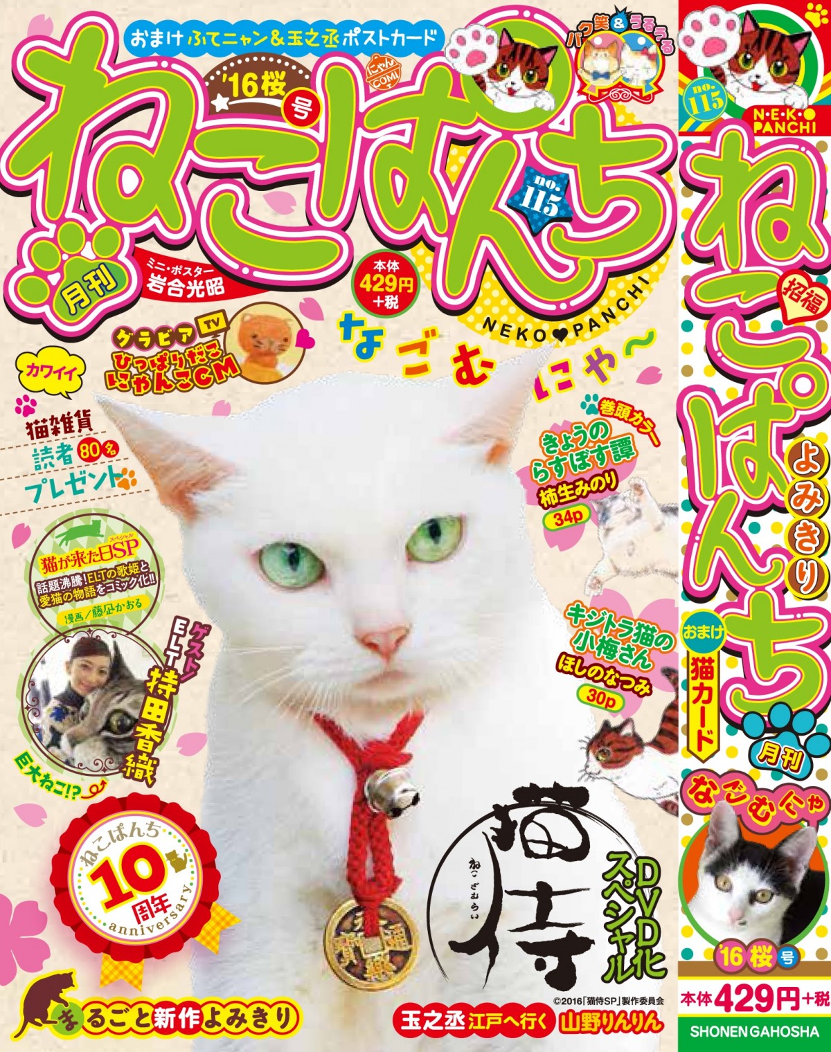 『猫侍』SPドラマDVD化記念、玉之丞の“萌え”写真公開！ 玉之丞に会えるイベントも