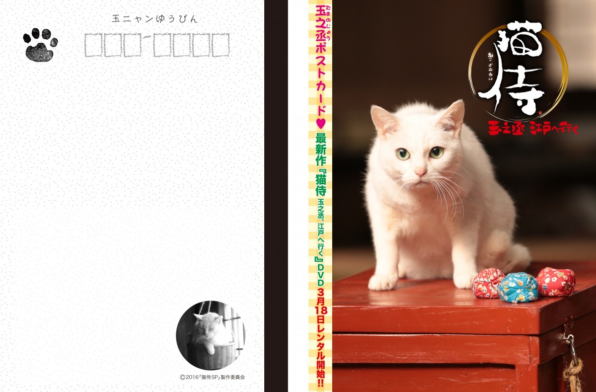 『猫侍』SPドラマDVD化記念、玉之丞の“萌え”写真公開！ 玉之丞に会えるイベントも