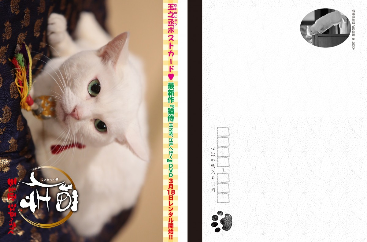『猫侍』SPドラマDVD化記念、玉之丞の“萌え”写真公開！ 玉之丞に会えるイベントも