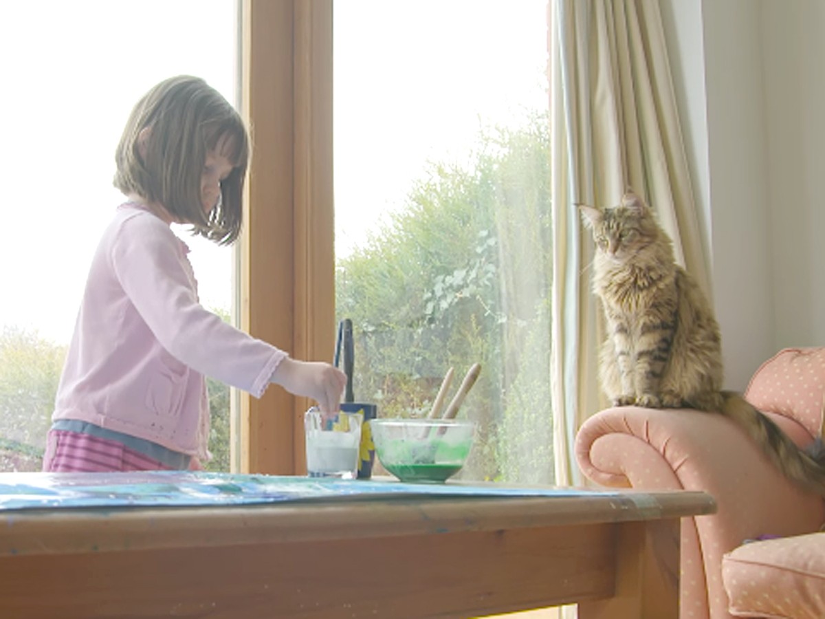 自閉症の女の子が猫との交流で症状改善「全てが変わった」